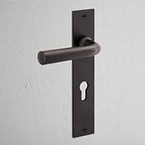 Apsley Long Plate Sprung Door Handle & Euro Lock - Bronze  