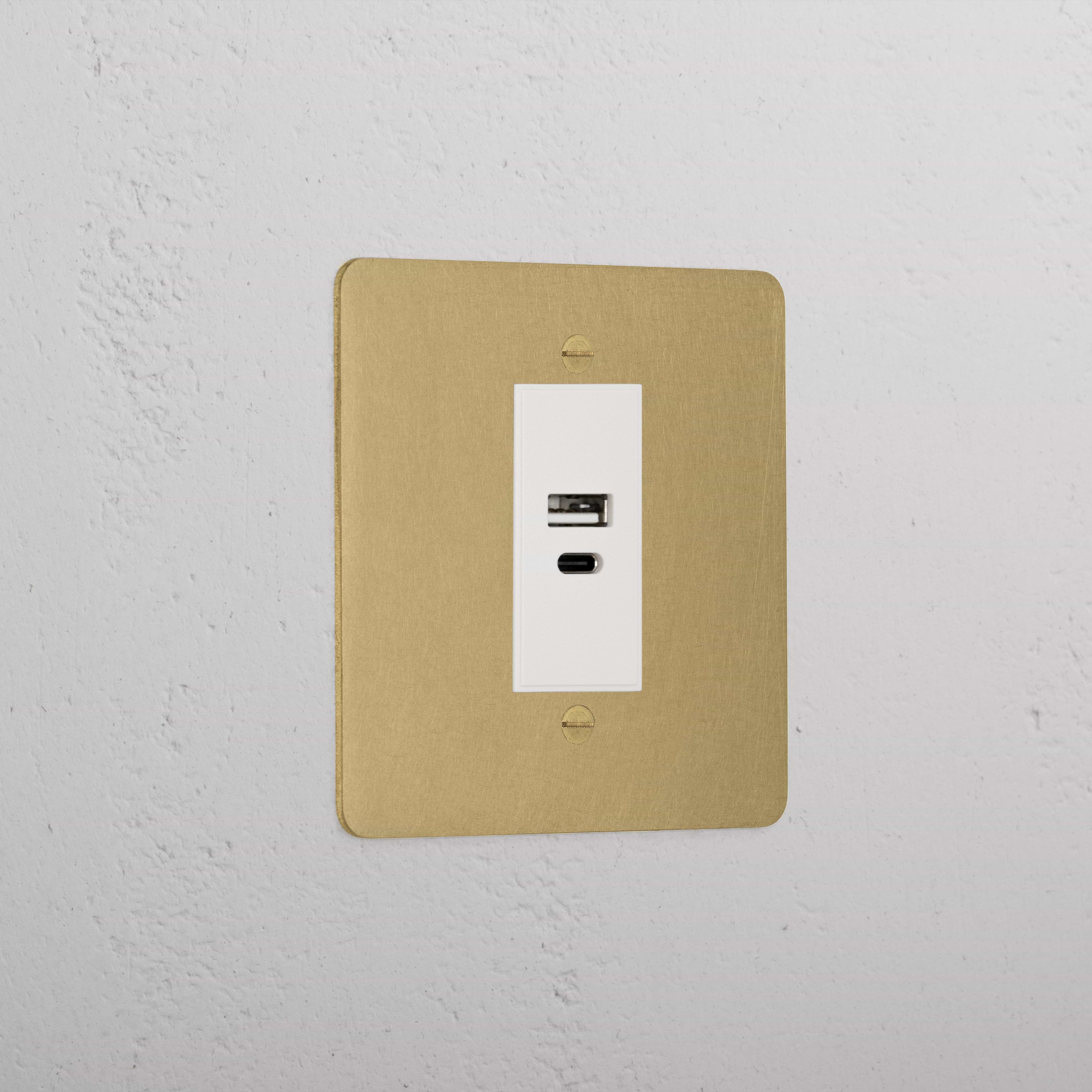 Luxury Antique Brass Usb A+C Socket White