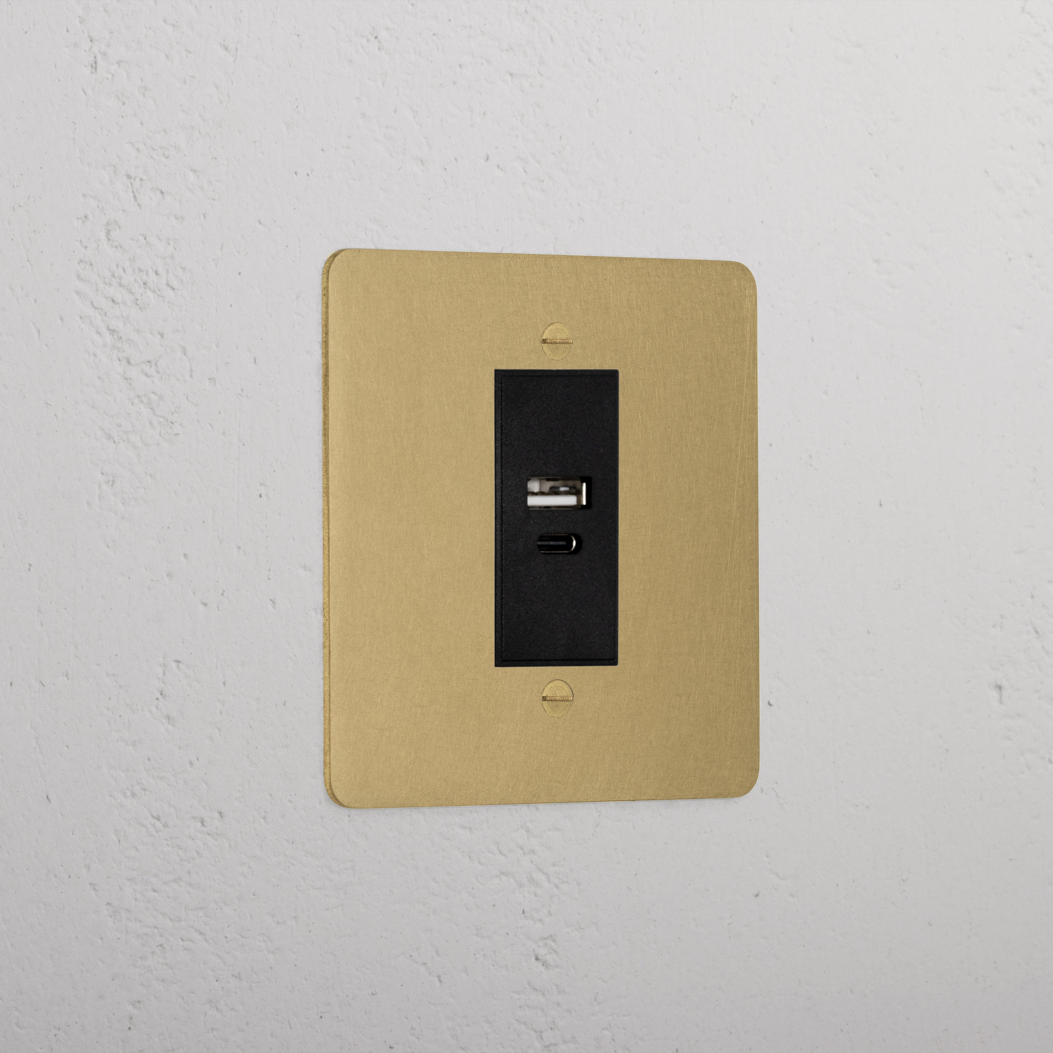 Luxury Antique Brass Usb A+C Socket Black