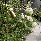 Ealing Path Spotlight - Antique Brass