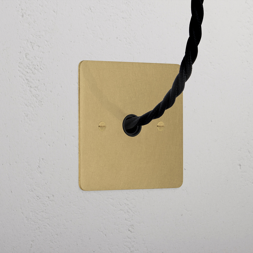 Designer Antique Brass Flex Outlet Socket Black