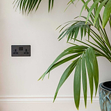 Bronze Rustic Double Socket Beside Plant