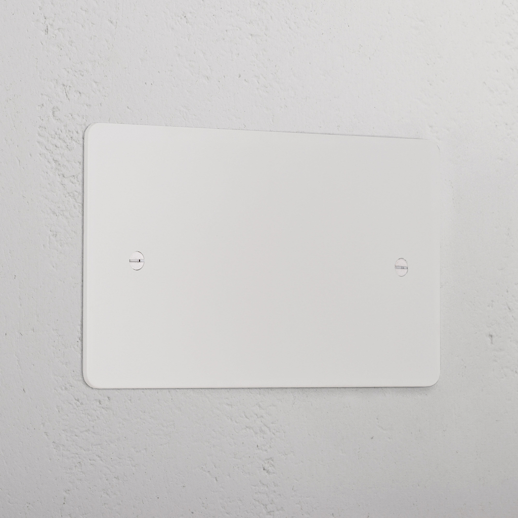 2G Blank Plate _ Paintable