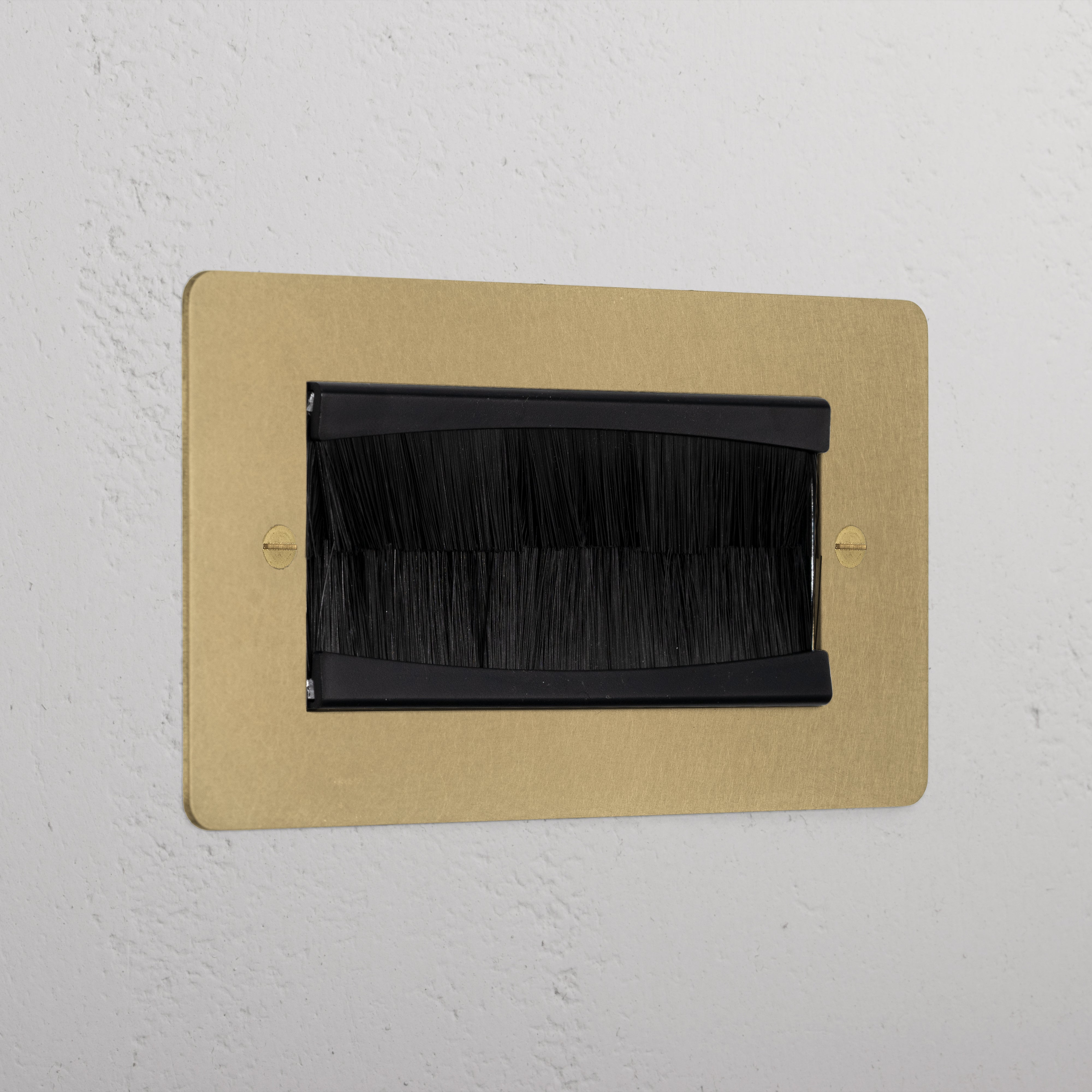 Designer Antique Brass Double Module Brush Plate Black