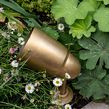 Ealing Ground Spotlight - Antique Brass