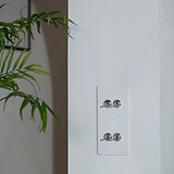 4G Vertical Two Way Toggle Switch in Paintable Polished Nickel finish on a white wall with a leafy green plant.