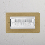 Double Module Brush Plate - Antique Brass White