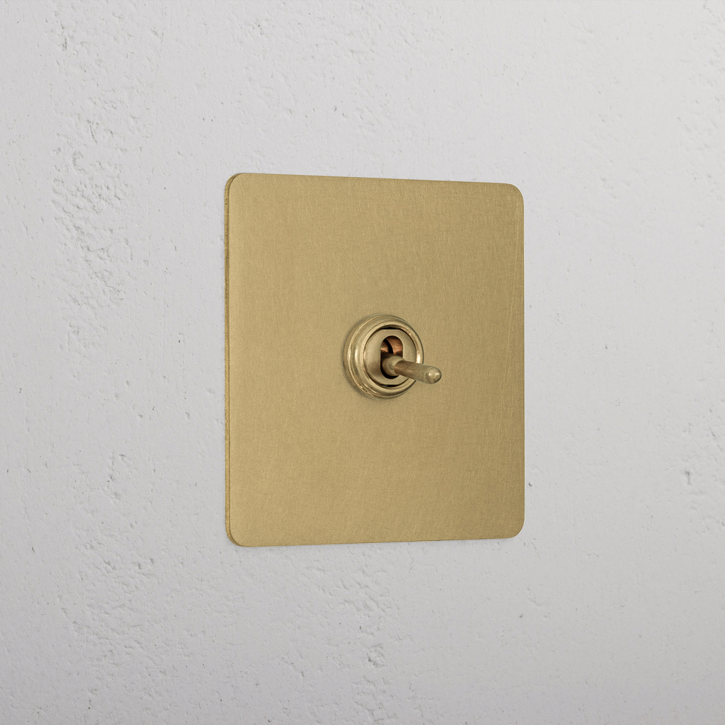 Designer Antique Brass 1 Gang 2 Way Toggle Switch
