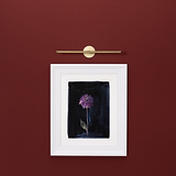 Taylor Picture Light 400mm - Antique Brass