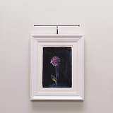 Harrow Picture Light 400mm - Polished Nickel