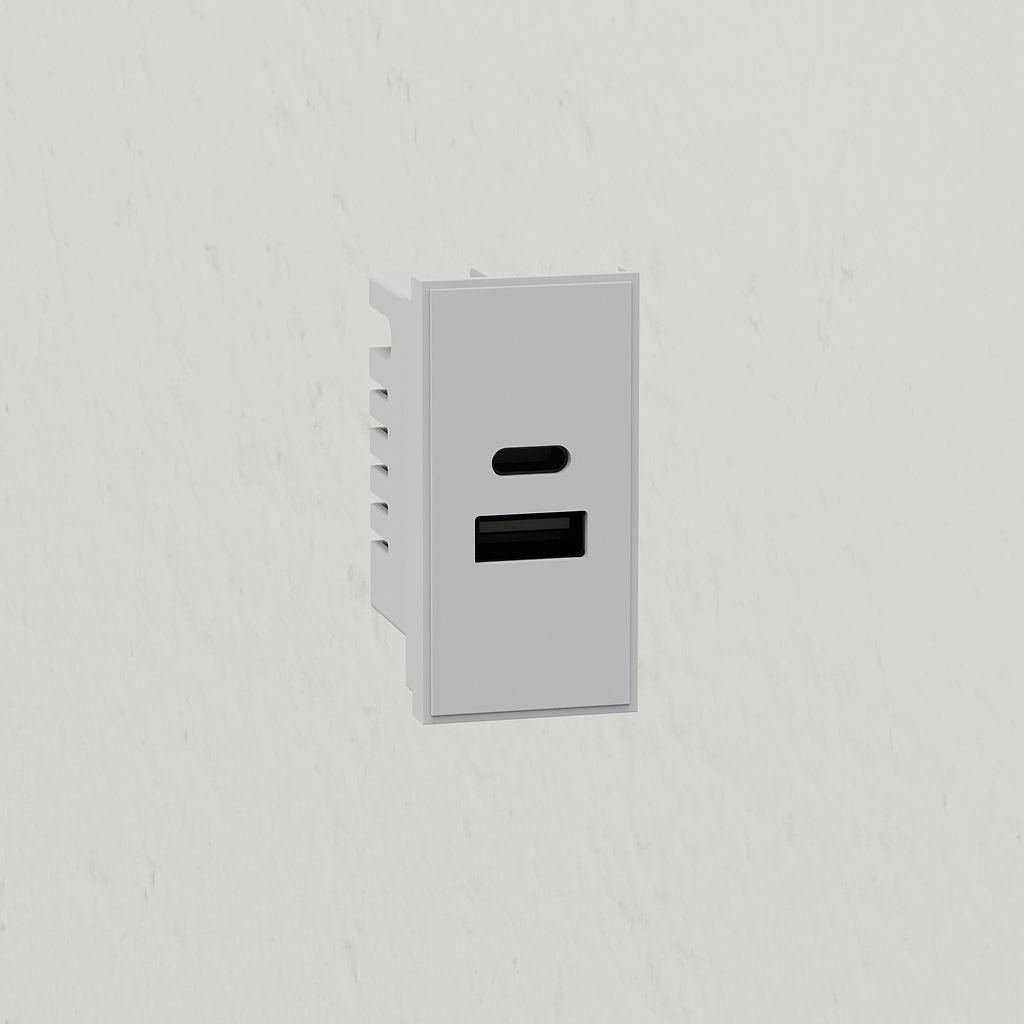 Usb A+C Outlet Module 25mm - White