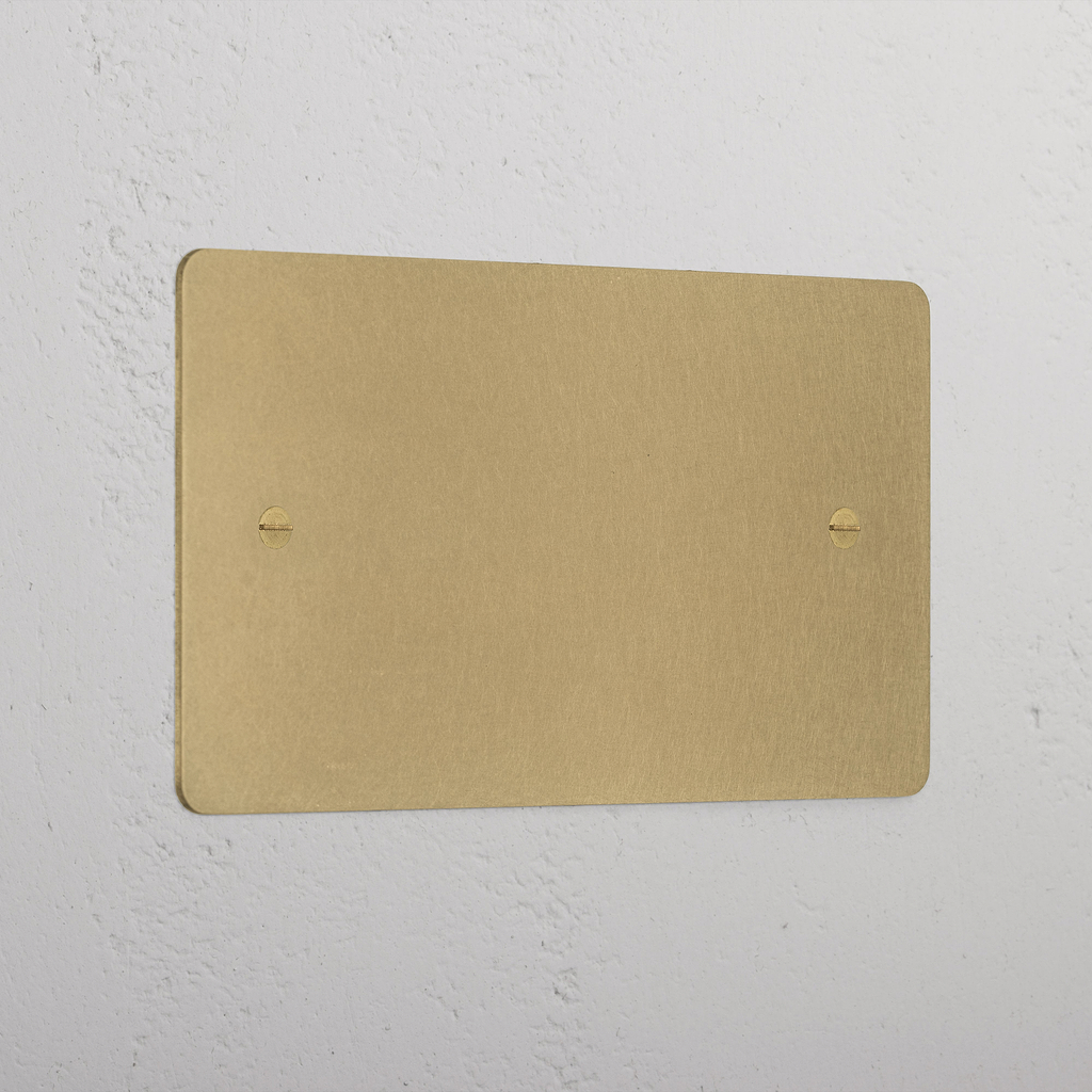Antique Brass Double Blank Plate