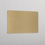 Antique Brass Double Blank Plate