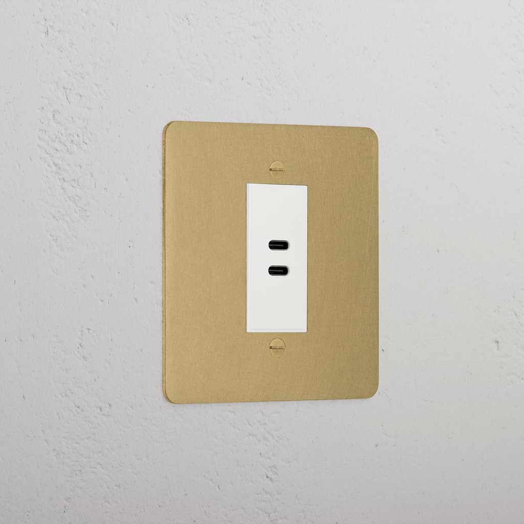 Designer Antique Brass Usb C+C Socket White