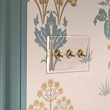Clear antique brass 3G two way toggle switch fixed to wall with pastel green and orange floral wallpaper next to pastel wooden door frame 