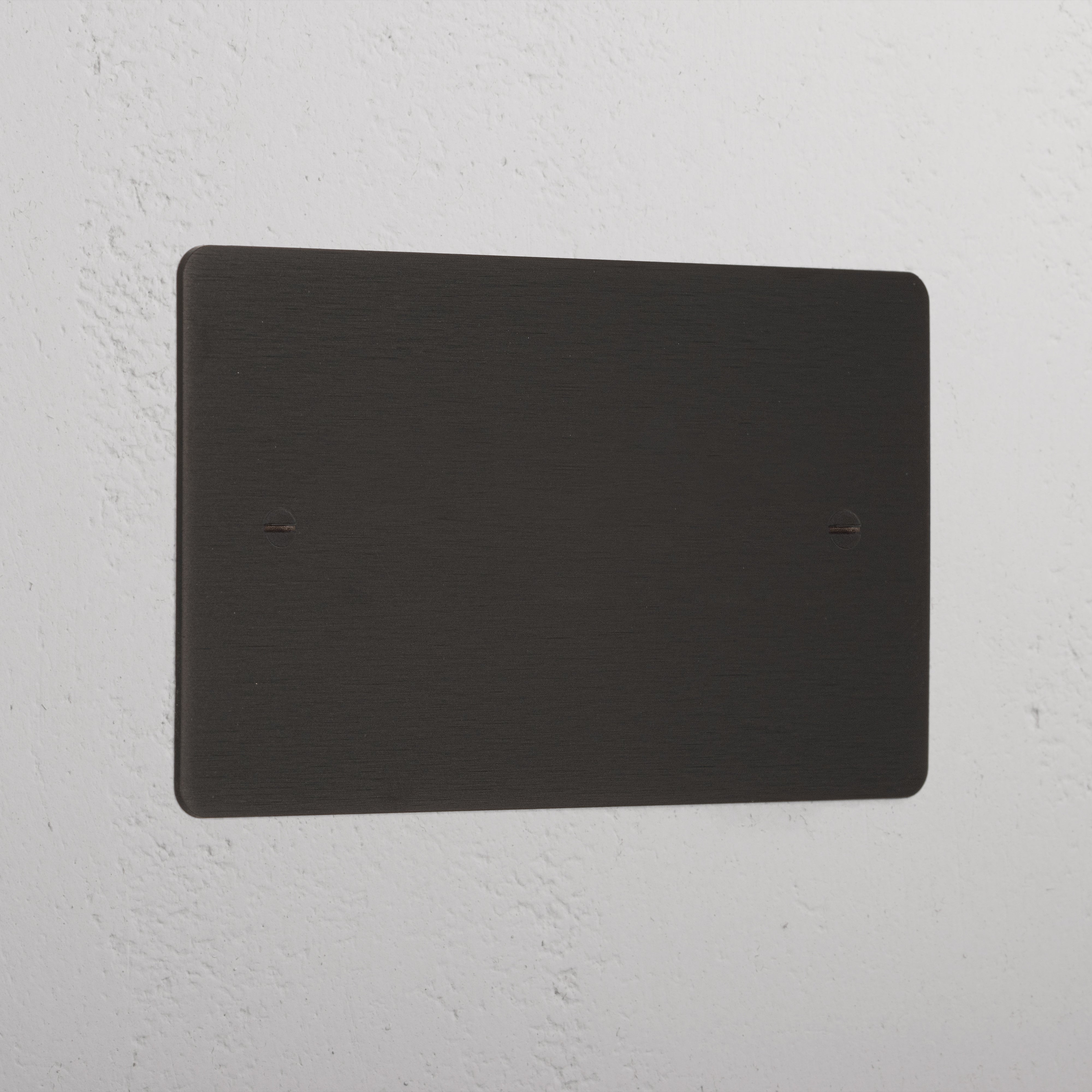 Bronze Blank Plate On White Background