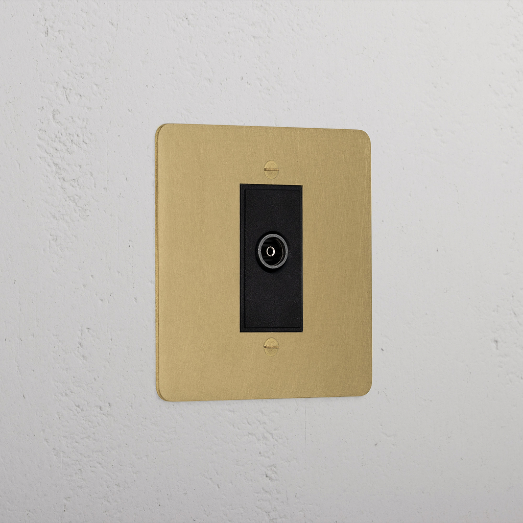 Premium Antique Brass Tv Outlet Socket Black