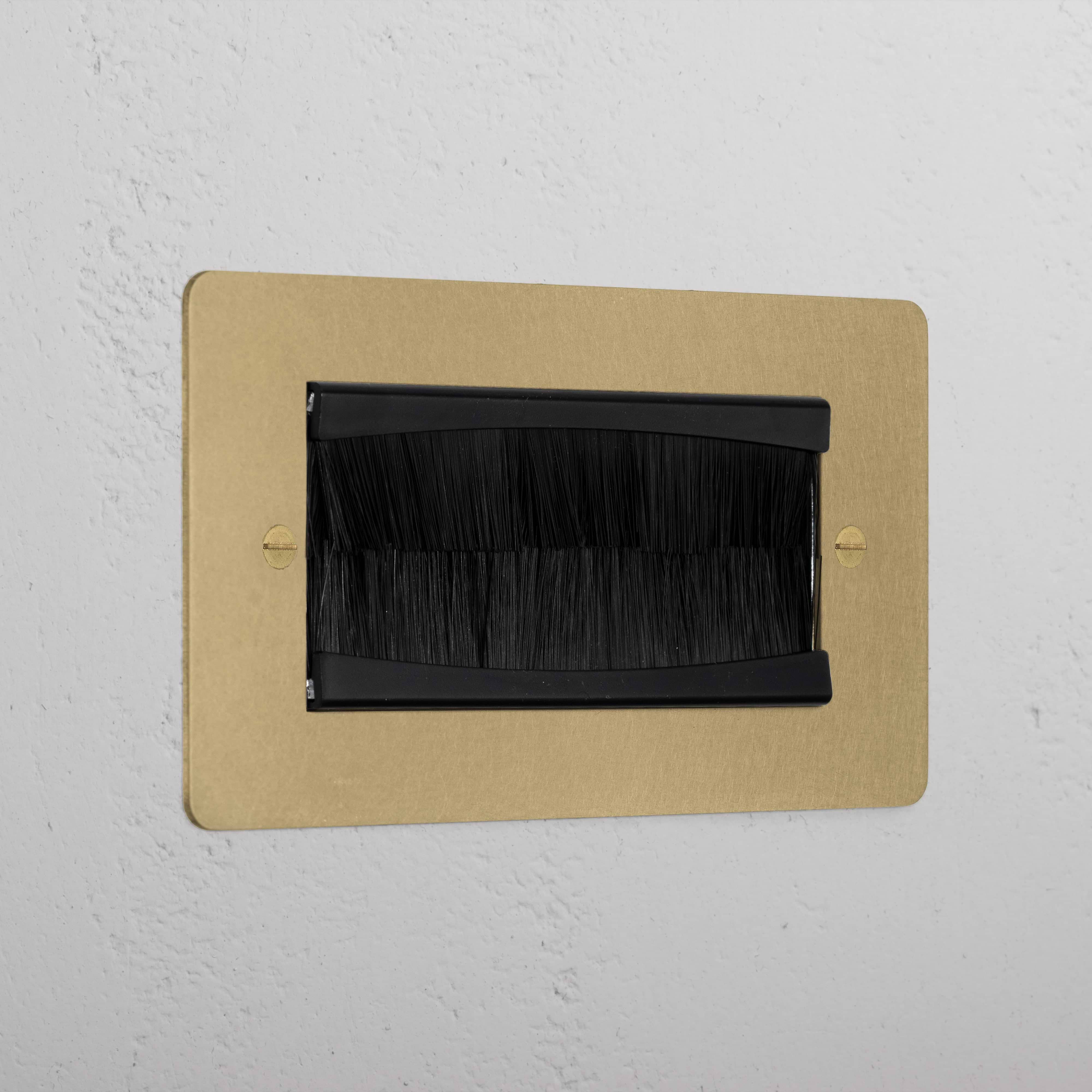 Designer Antique Brass Double Module Brush Plate Black