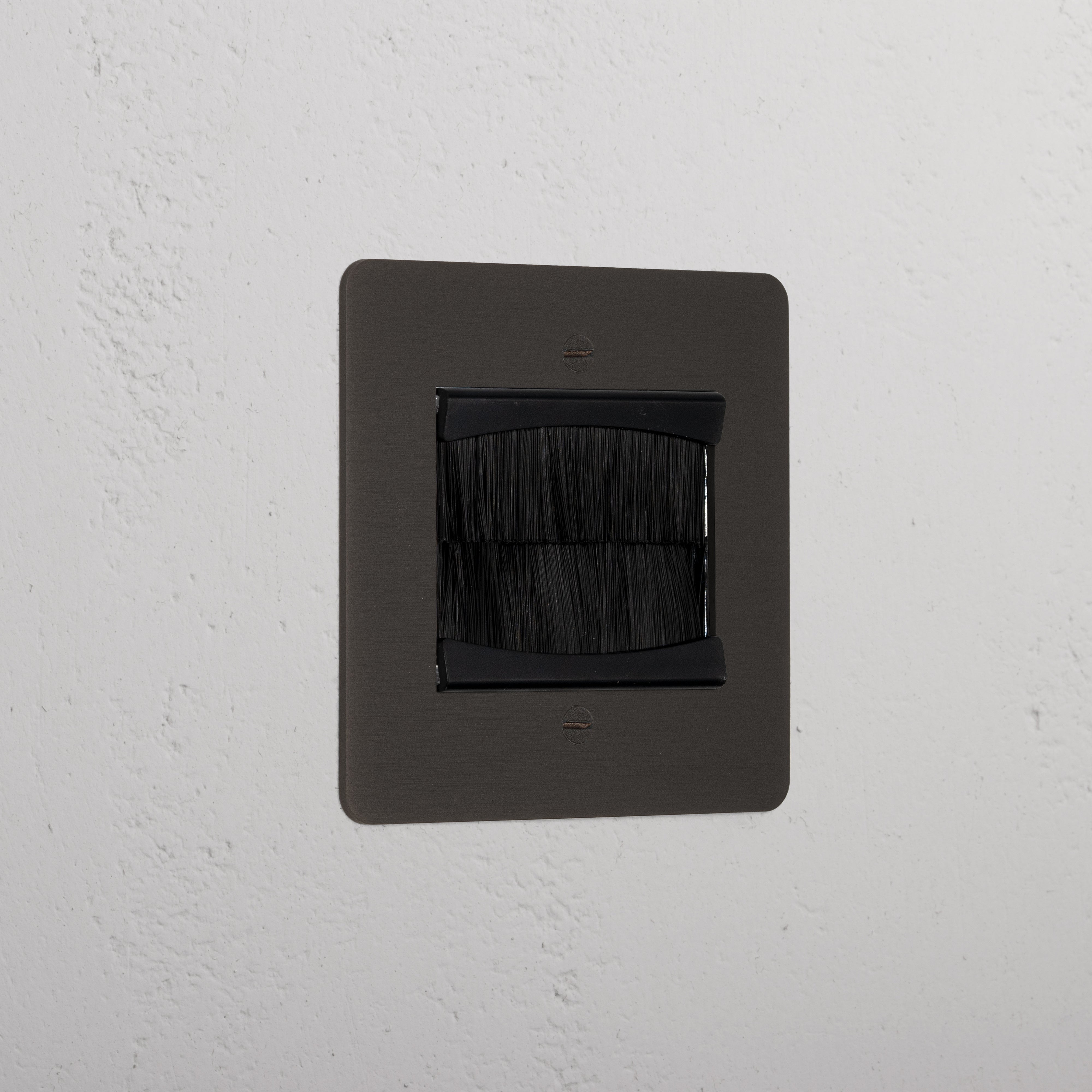 Bronze Luxury Single Brush Plate Black