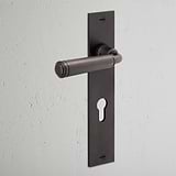 Digby Long Plate Sprung Door Handle & Euro Lock - Bronze  