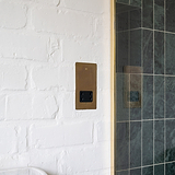 Shaver Socket - Antique Brass Black
