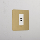 Luxury Antique Brass Usb A+C Socket White