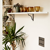 Bronze 6G two way toggle switch fixed to cream wall below shelf with brown glasses and plants atop