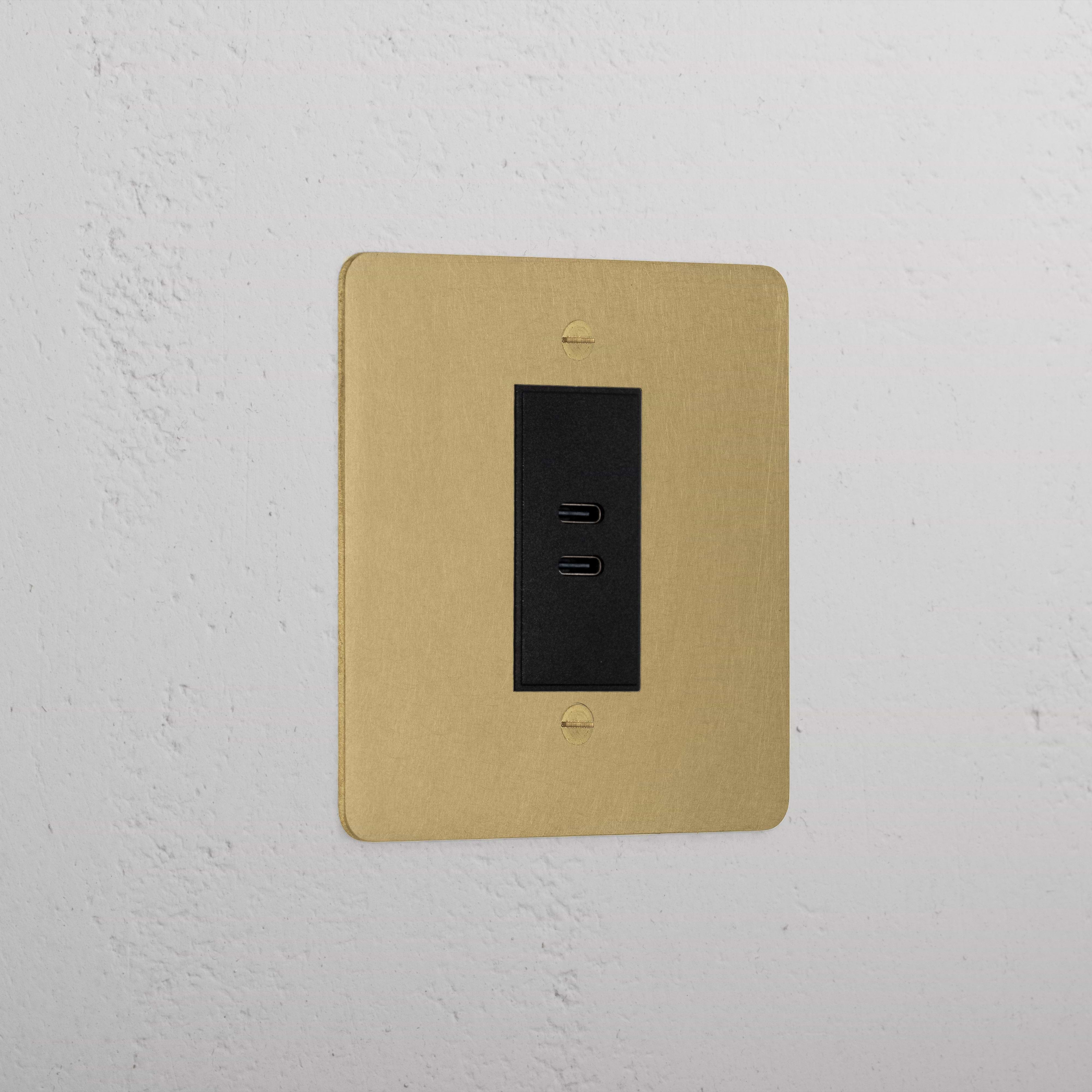 Elegant Antique Brass Usb C+C Socket Black