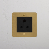 antique brass designer 5A light socket next to plants