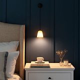 Bedside Bronze Hanging Wall Light With Fine Porcelain Shade