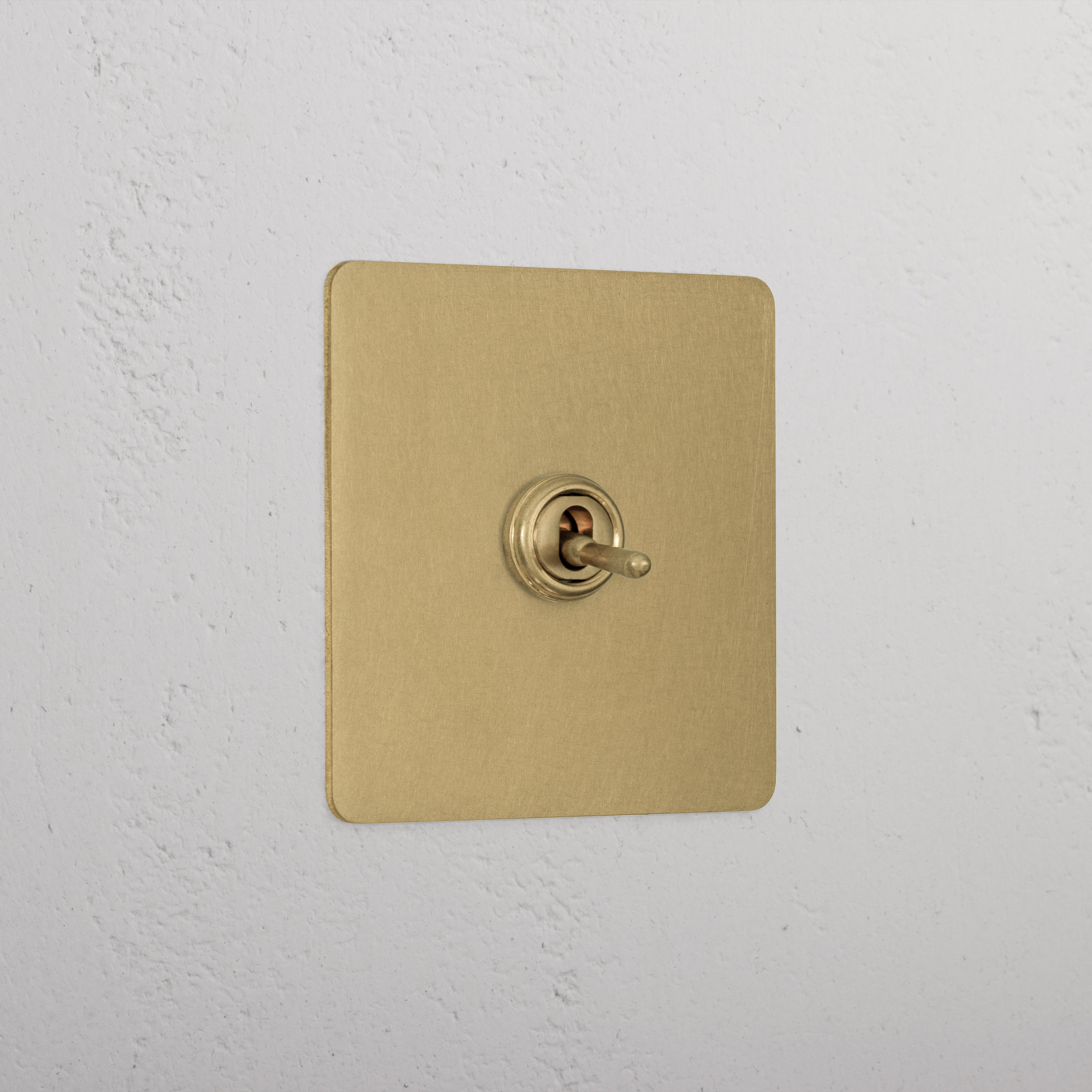 1G Double Pole Toggle Switch - Antique Brass
