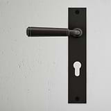 Digby Long Plate Sprung Door Handle & Euro Lock - Bronze  