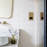 Shaver Socket - Antique Brass Black