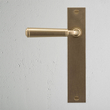 Digby gefederter Türgriff langes Schild – Antikes Messing 