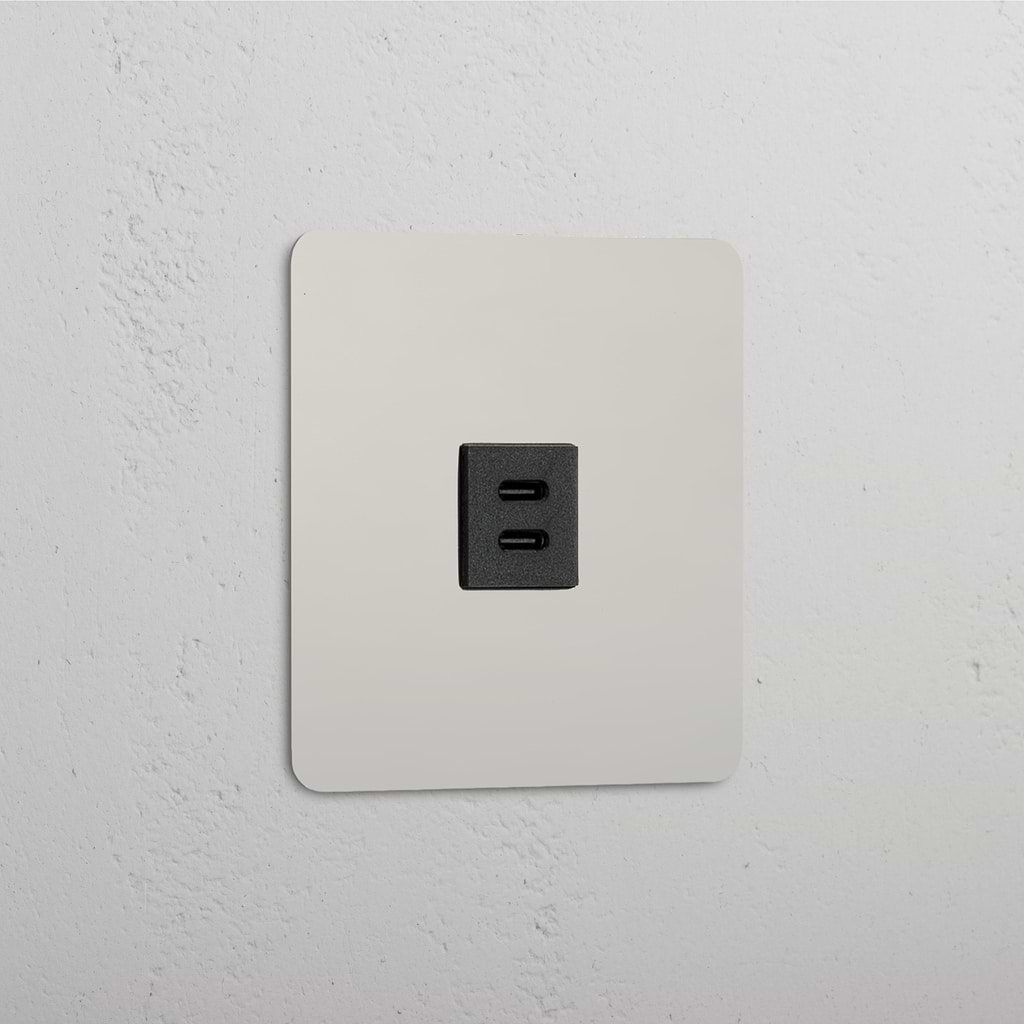 High-Speed-Ladezubehör: Nickel und Schwarz – USB-30-W-Modul