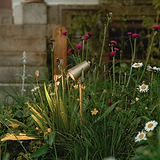 Cambridge Grond Spotlight – Antiek Messing buitenverlichting verlichte tuinplanten naast een stenen trap.