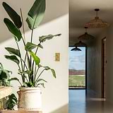Antiek messing 2x dubbele verticale schakelaar op de muur gemonteerd op de rand van de muur achter een plant. 