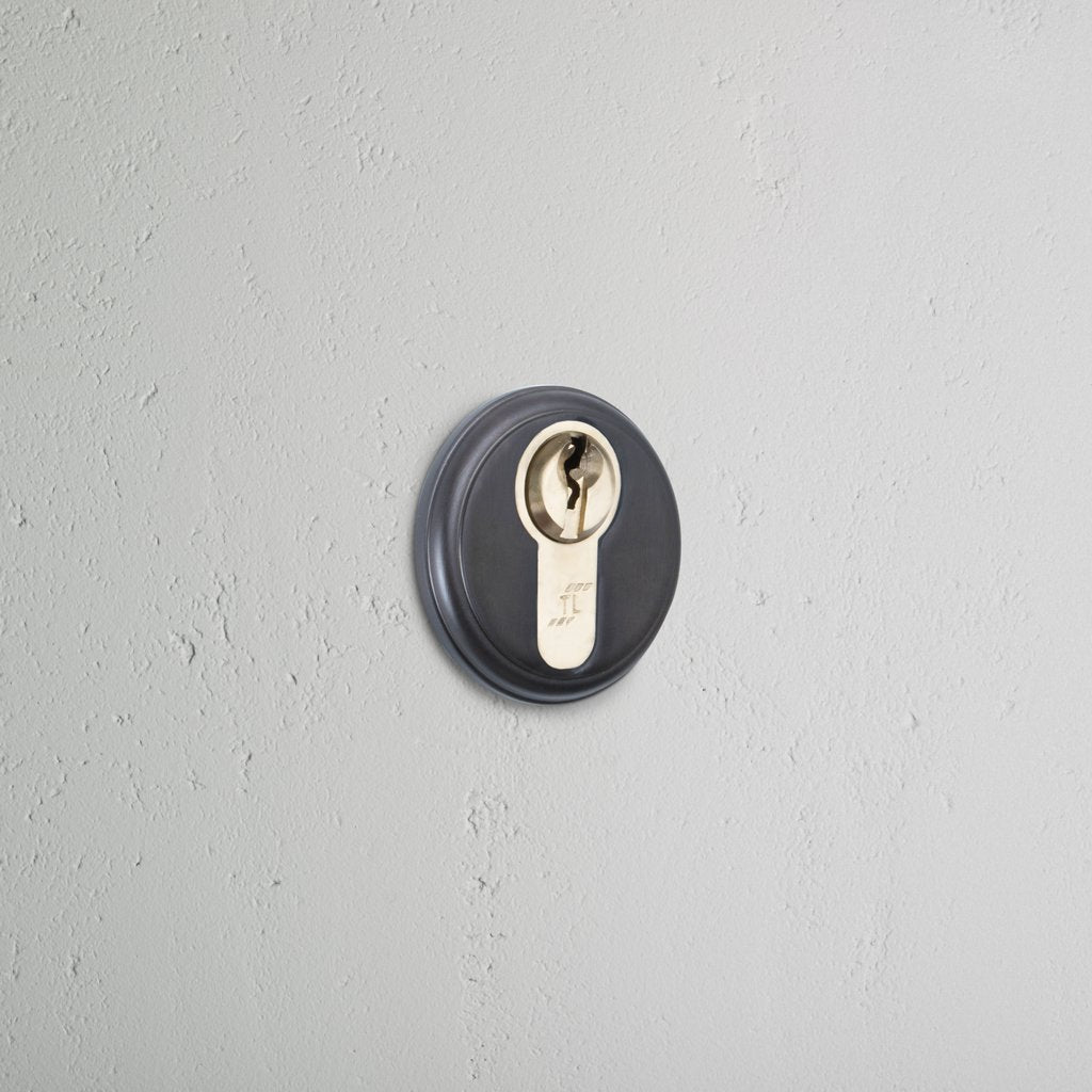 Bronze Canning Key Escutcheon on White Background