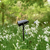 Cambridge Grond Spotlight 24V – Brons buitenspot geïnstalleerd in tuin met gras en wilde bloemen.