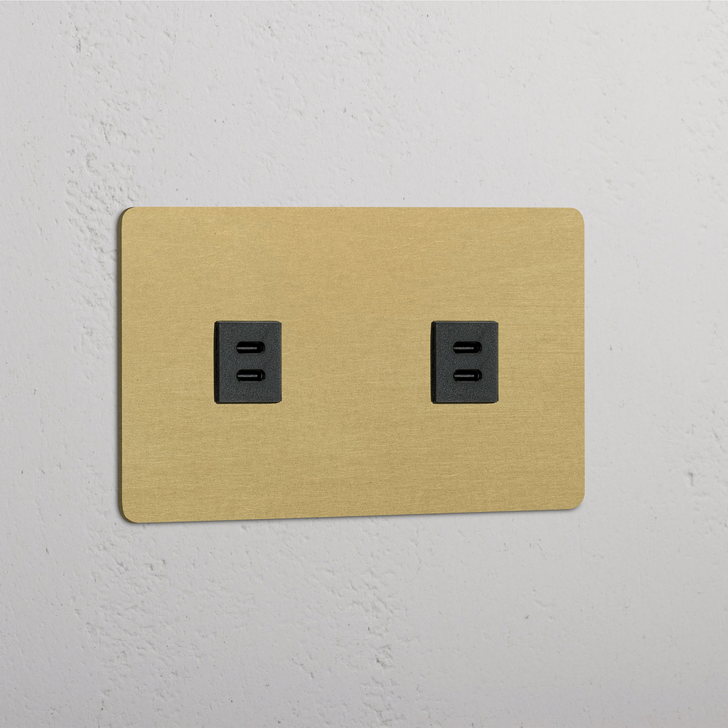 Hoge kwaliteit Dubbele 2x USB Voedingsmodule in Antiek Messing Zwart