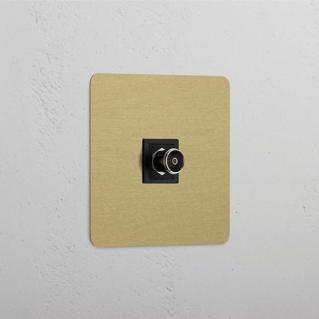 TV Module in Enkel Design met Antiek Messing Zwart Afwerking