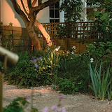 Cambridge Grond Spotlight – Antiek Messing verlichte tuinplanten zelden met warm licht bij intrigatie.