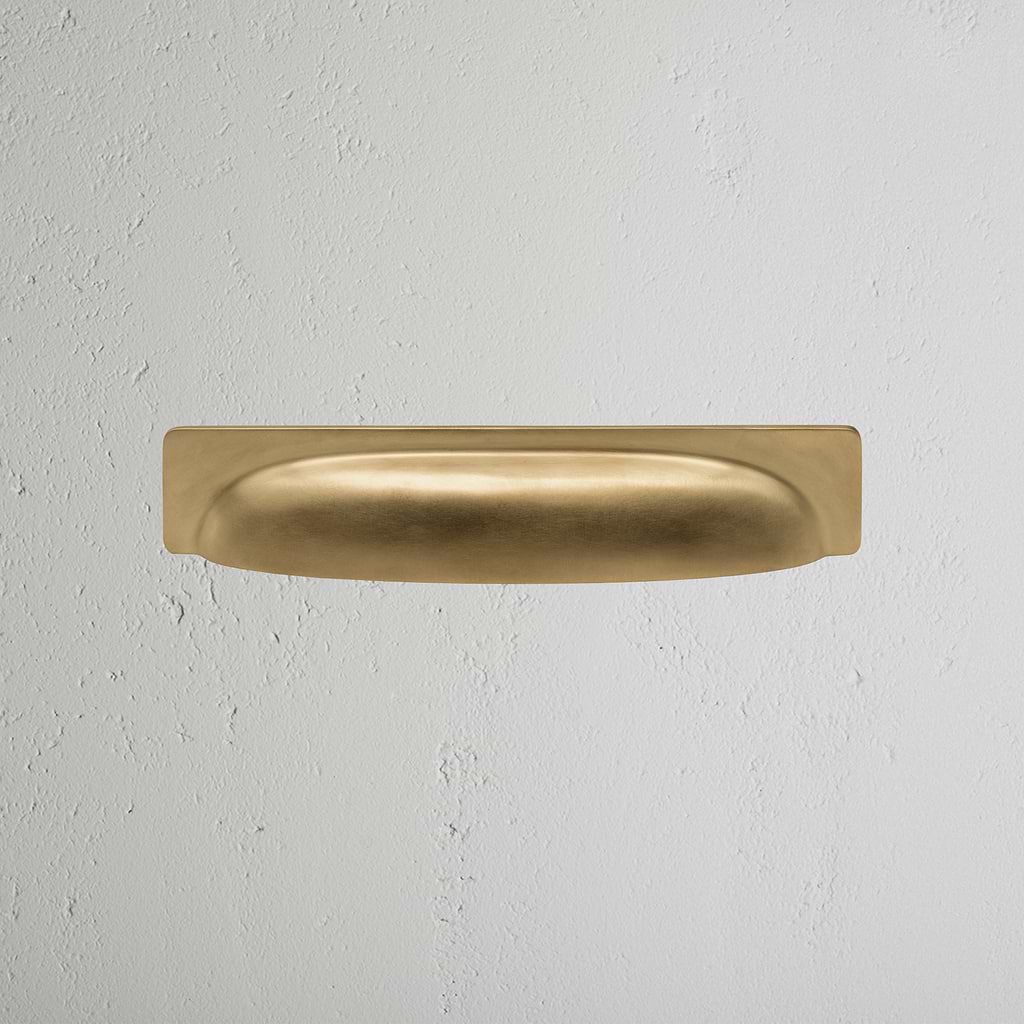 Antique Brass Elm Cup Handle on White Background