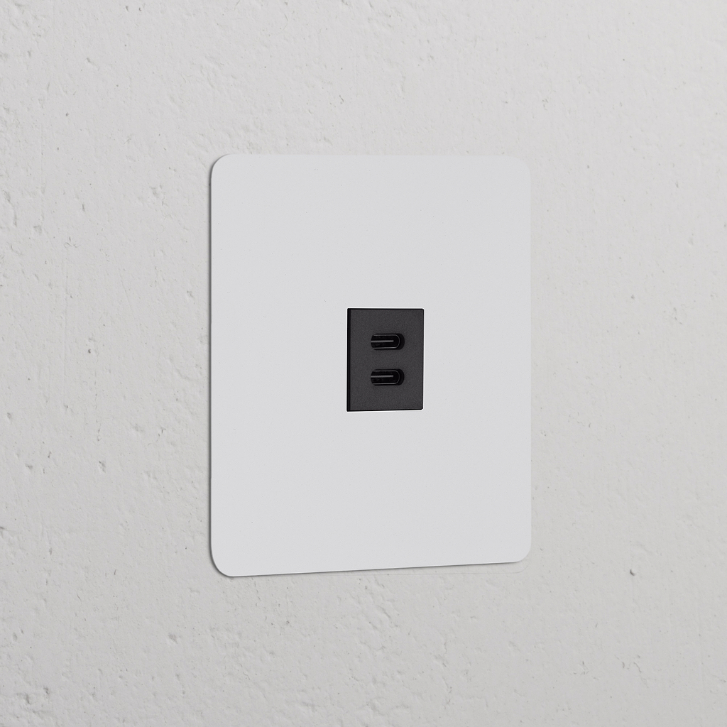 Einfachrahmen mit Steckdosen und Modulen, lackierbar + schwarz, 30 W USB-Anschluss für schnelles Laden.