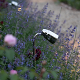 Ealing Wegestrahler – Außenbeleuchtung aus poliertem Nickel inmitten von Blumen, die ihre Oberfläche aus poliertem Nickel hervorhebt.