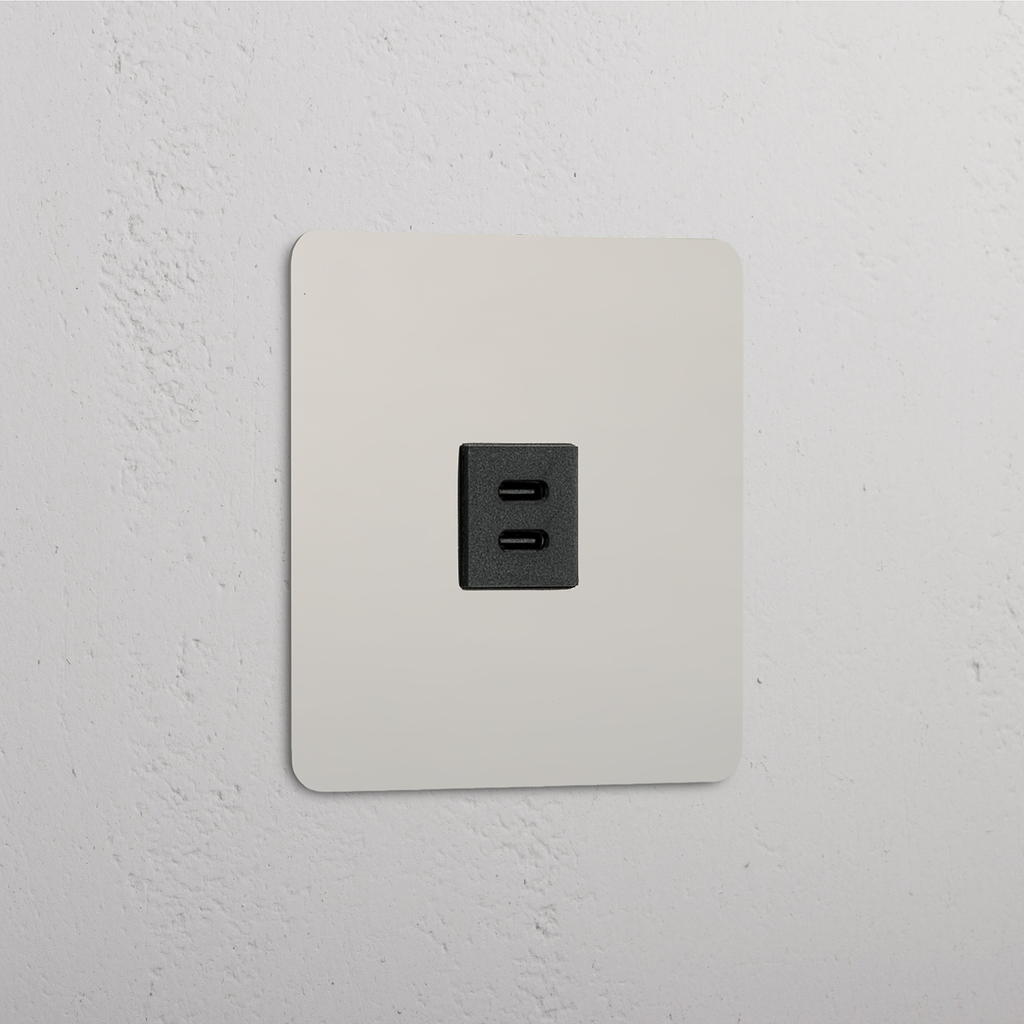 High-Speed-Ladezubehör: Nickel und Schwarz – USB-30-W-Modul