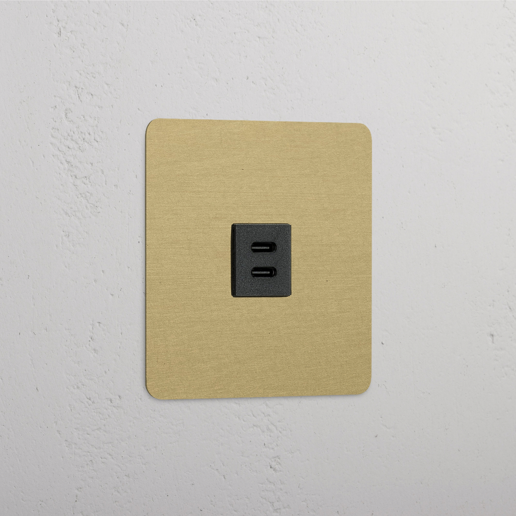 Hohe Qualität USB-C-Anschluss (30 W) – Antikes Messing + Schwarz