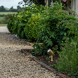 Ealing Bodenstrahler aus antikem Messing, Outdoorbeleuchtung, beleuchtet sanft einen Gartenweg mit Grün.