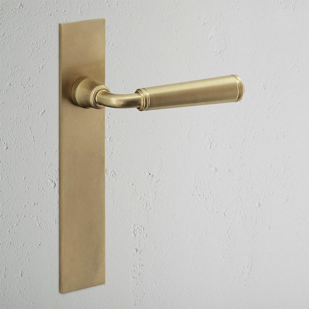 Digby fixer Türgriff langes Schild – Antikes Messing