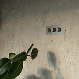 An einer Wand montierter „Drehdimmschalter 3x im Dreifachrahmen“ aus poliertem Nickel mit einer grünen Pflanze daneben.